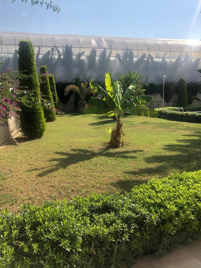 Apartament Mirabella *
